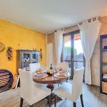 Miralago View & Private Garden - Happy * Ispra